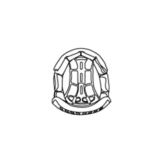 Bild von COMP LIGHT HELMET INTERIOR