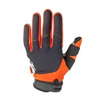 Bild von POUNCE GLOVES